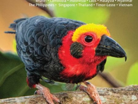 125 Best Bird Watching Sites in Southeast Asia Discount